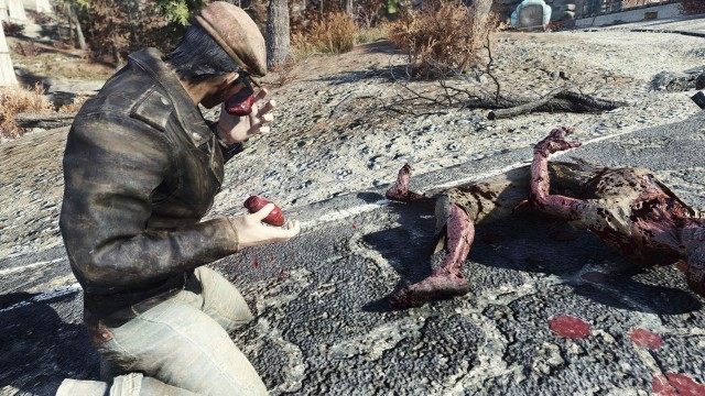 (Optional) Equip Cannibal Perk and Cannibalize a Feral Ghoul
