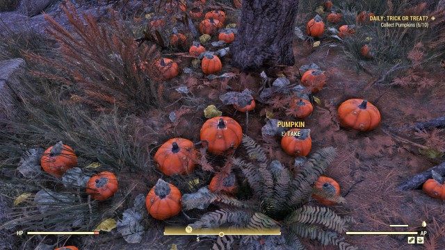 Collect Pumpkins (x/10)