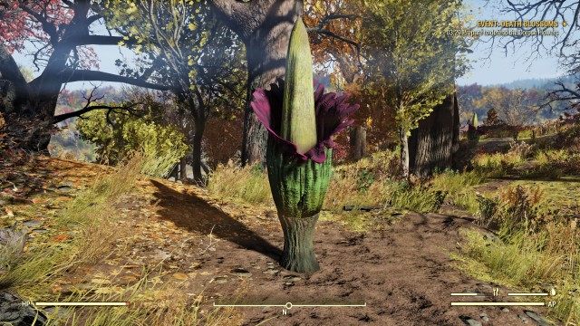 Prepare to defend the Corpse Flowers
