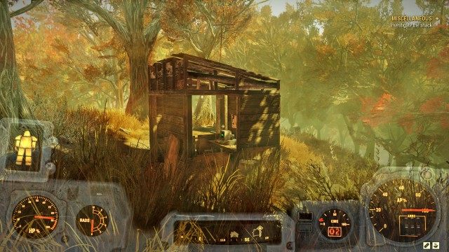 Investigate the shack