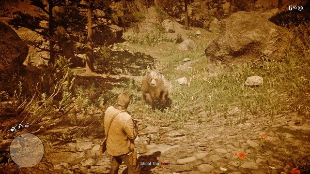Shoot the bear