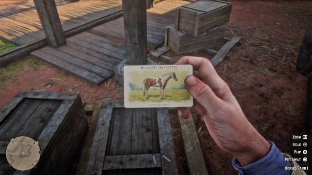 Horses Card #01