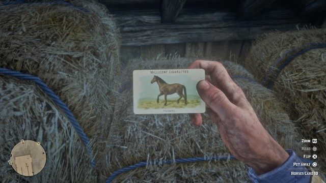 Horses Card #10