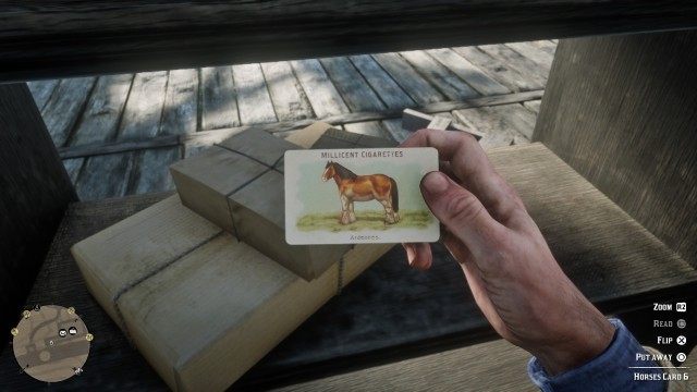Horses Card #06