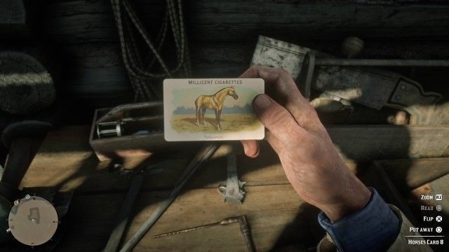 Horses Card #08