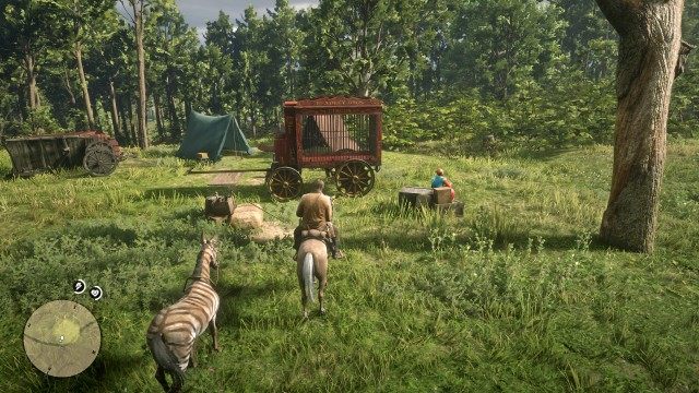 Return the zebra to Margaret's camp