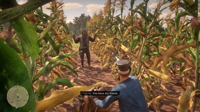 Search the cornfield with Charles