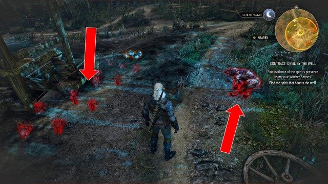 (Optional) Find evidence of the spirit's presence using your Witcher Senses.
