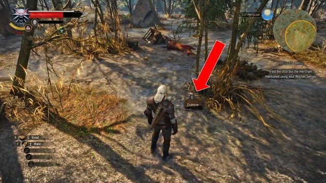 Find the little box the merchant mentioned using your Witcher Senses.