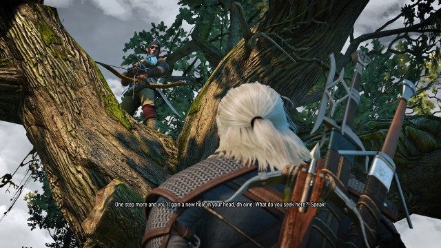 Follow the tracks using your Witcher Senses.