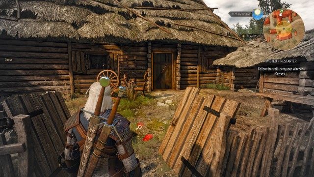 Follow the trail using your Witcher Senses.