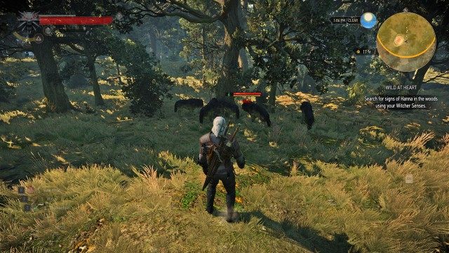 Search for signs of Hanna in the woods using your Witcher Senses.