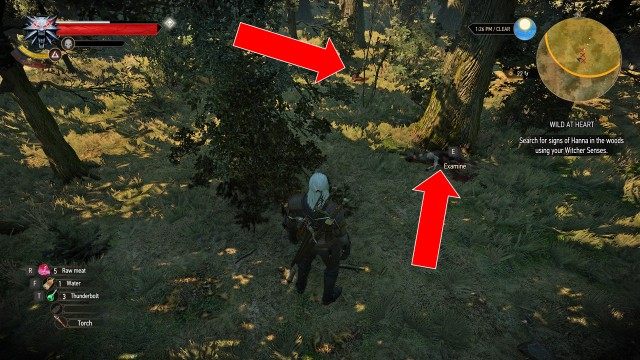 Search for signs of Hanna in the woods using your Witcher Senses.