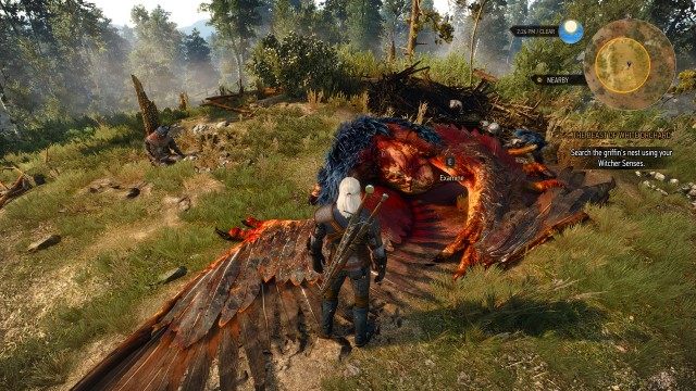 Search the griffin's nest using your Witcher Senses.
