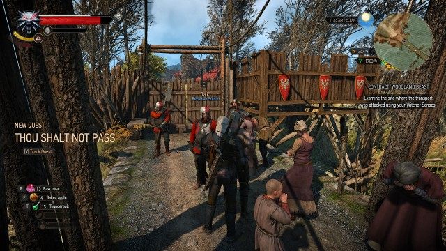 witcher 3 complete quest command