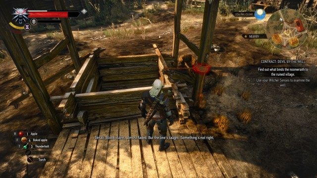 Use your Witcher Senses to examine the well.
