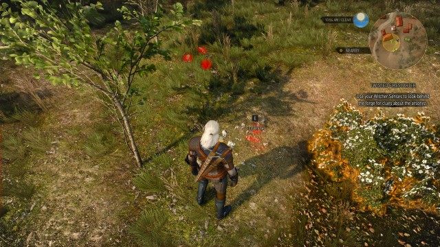 Use your Witcher Senses to look behind the forge for clues about the arsonist.