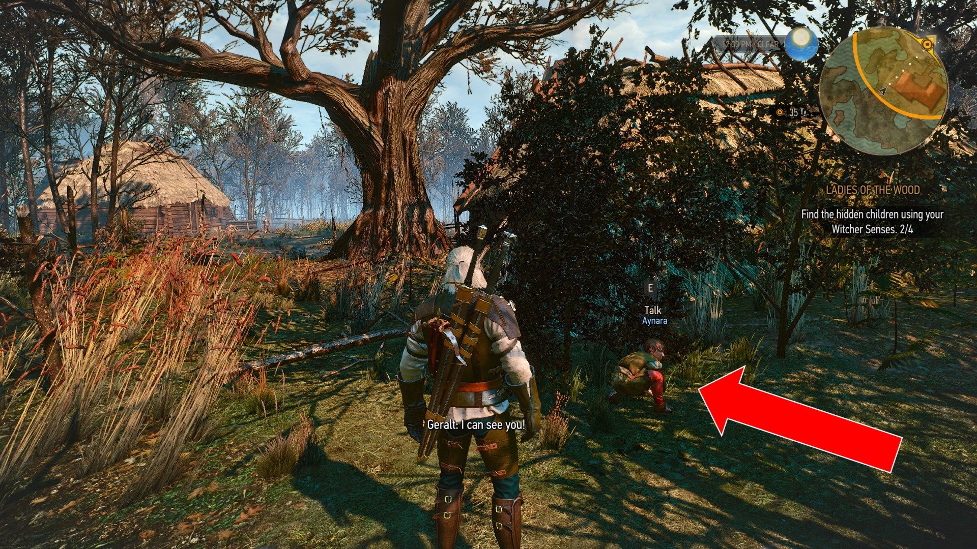 In the wood ladies witcher 3 The Witcher