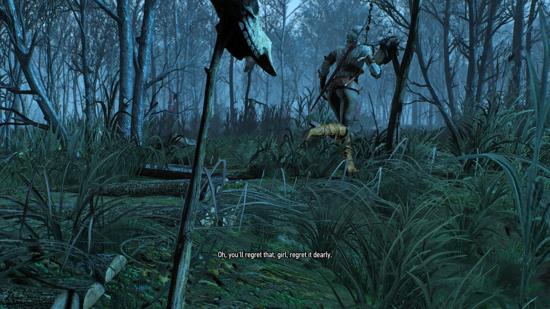 Ciri's Story: Fleeing the Bog, Witcher 3: Wild Hunt Quest