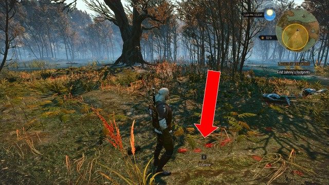 Look for Johnny in the swamp using your Witcher Senses. / Find Johnny's footprints.