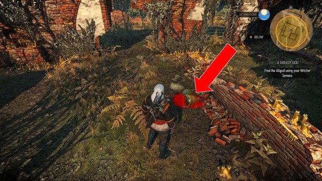 Find the Allgod using your Witcher Senses.