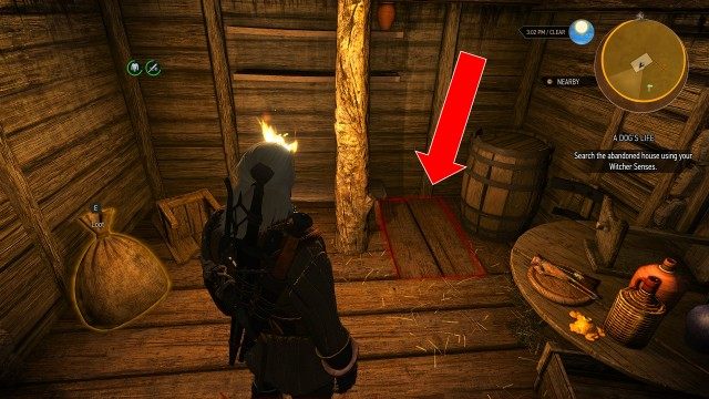 Search the abandoned house using your Witcher Senses.