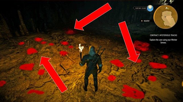Explore the cave using your Witcher Senses.