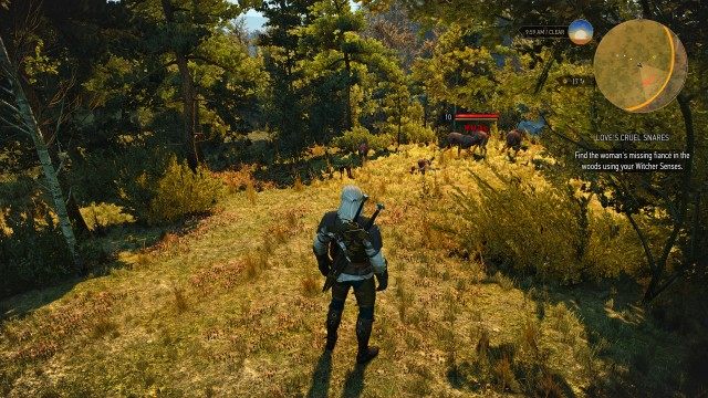 Find the woman's missing fiancé in the woods using your Witcher Senses.