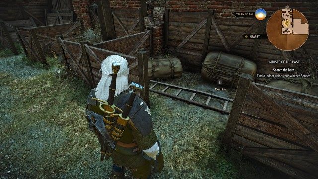 Search the barn. / Find a ladder using your Witcher Senses.