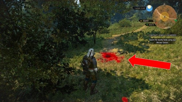 Search the nearby fields using your Witcher Senses.