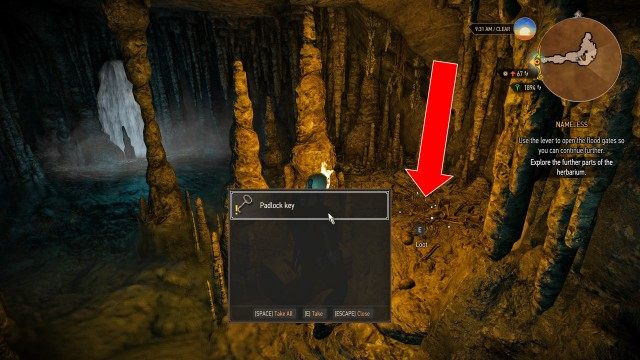 Find the key Morkvarg mentioned using your Witcher Senses. / Find a way into the flooded cave under Morkvarg's lair. / Search the cave using your Witcher Senses.