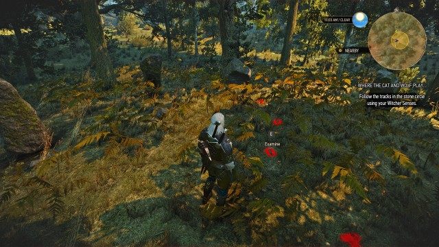 Follow the tracks in the stone circle using your Witcher Senses.