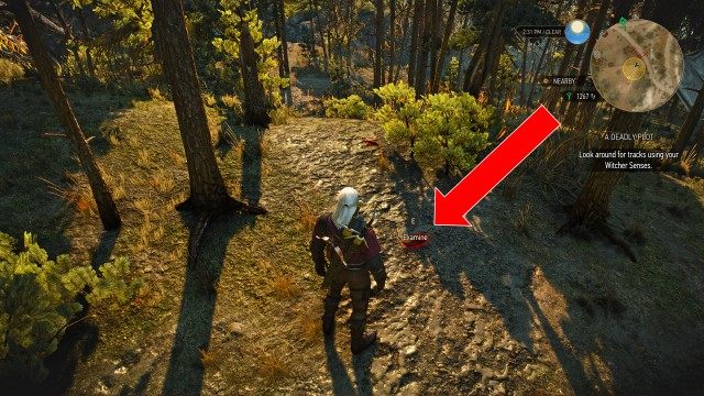 Look around for tracks using your Witcher Senses.