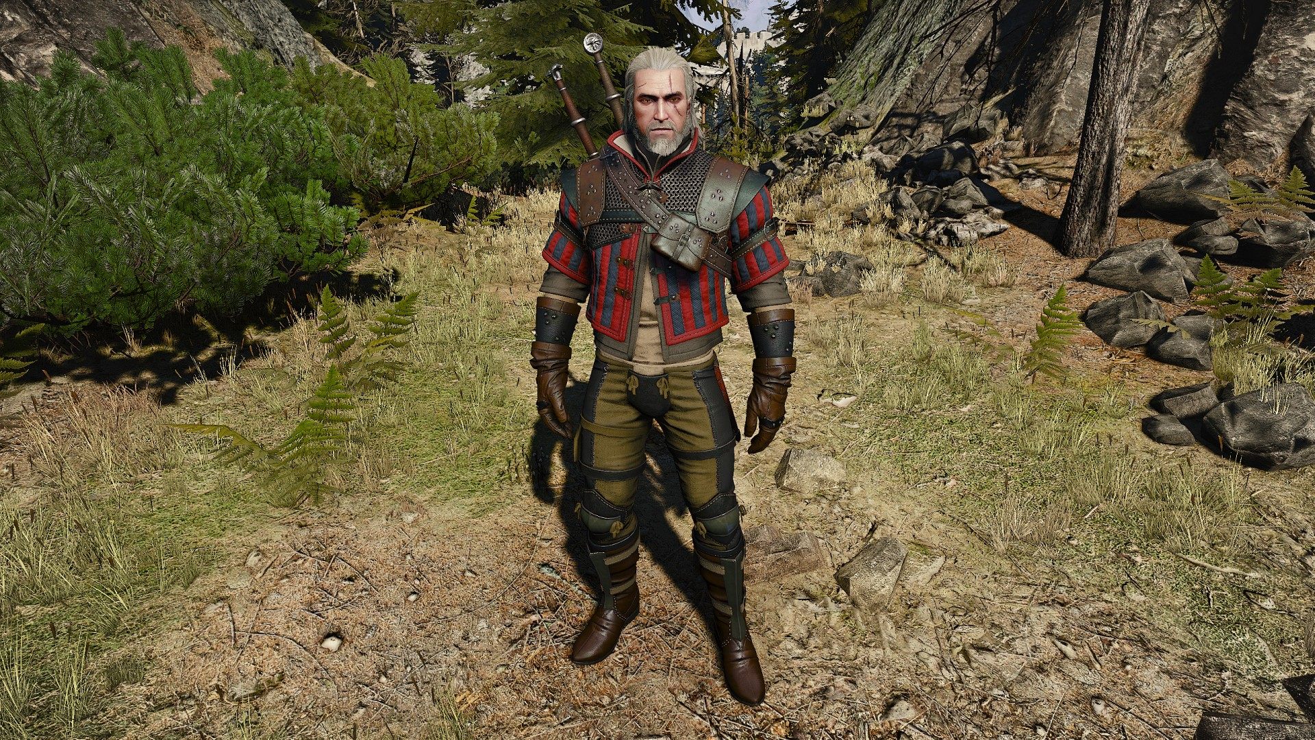 The witcher 3 all school gear фото 66