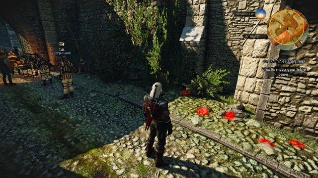 Follow the imp using your Witcher Senses.