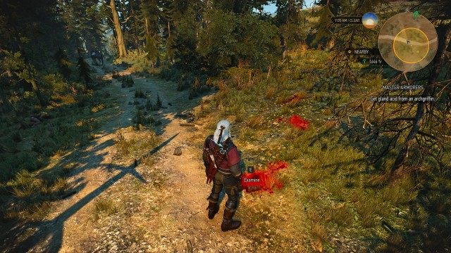 Find the archgriffin using your Witcher Senses and kill it.