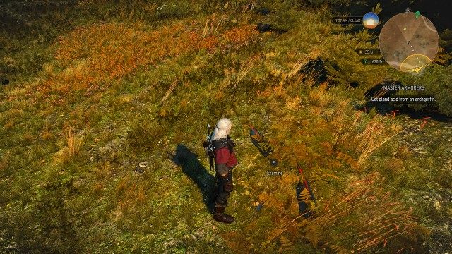 Find the archgriffin using your Witcher Senses and kill it.