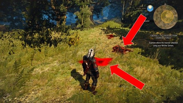 Examine where the monster attacked using your Witcher Senses.
