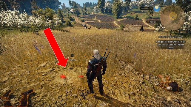 Look for the bodies of the White Lady's victims using your Witcher Senses. / Investigate the place where the White Lady attacked using your Witcher Senses.