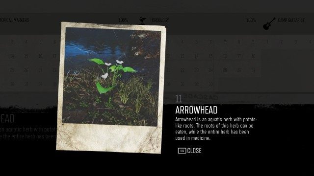 Arrowhead (#11)