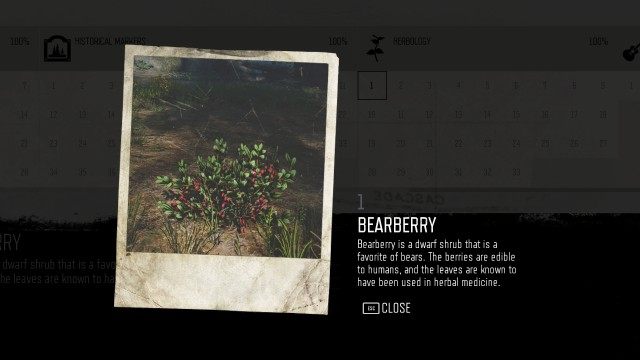Bearberry (Lost Lake) (#1)
