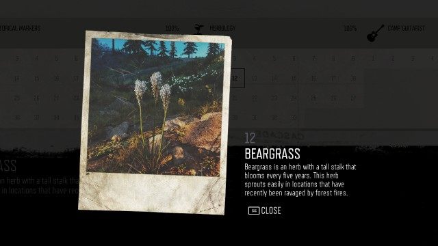 Beargrass (Iron Butte) (#12)