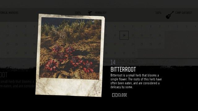 Bitterroot (#14)