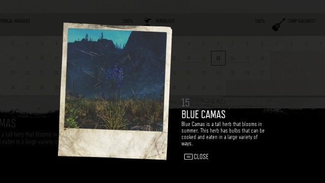 Blue Camas (#15)