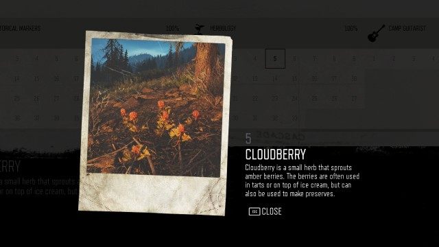 Cloudberry (Lost Lake) (#5)