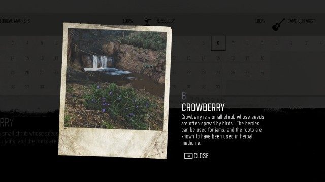 Crowberry (Belknap) (#6)