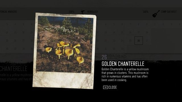 Golden Chanterelle (Crater Lake) (#26)