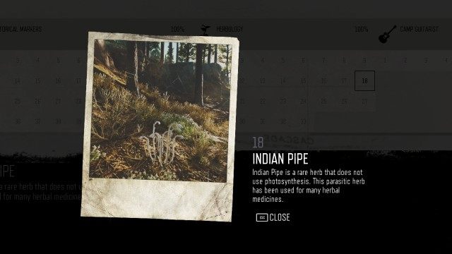 Indian Pipe (Iron Butte) (#18)