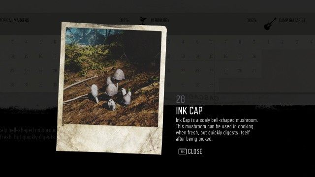 Ink Cap (#28)