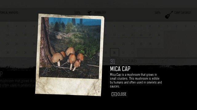 Mica Cap (Lost Lake) (#31)